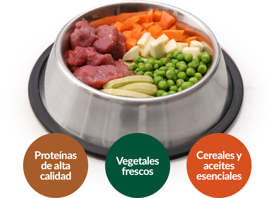 Lola Gourmet | Alimento de Grado Humano para perros