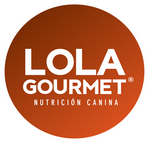 Lola Gourmet logo footer