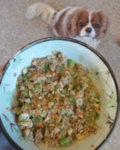 comida-casera-para-perros-sin-cereales
