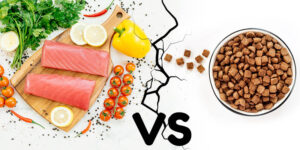 comida-natural-vs-pienso