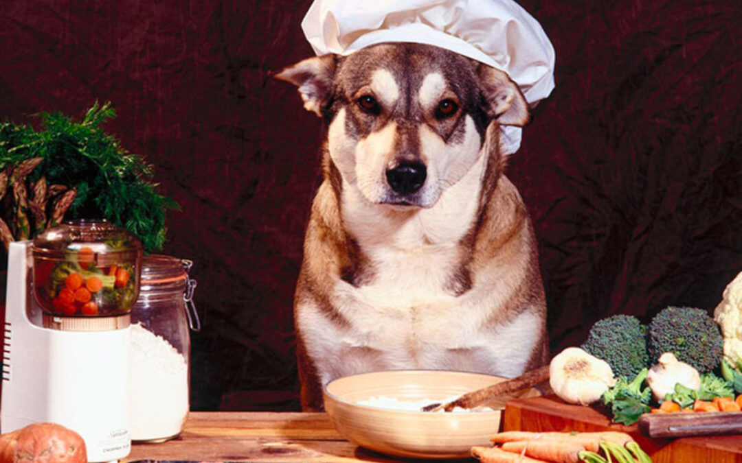 comida-para-perros-natural-lola-gourmet