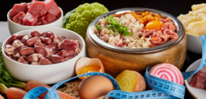 dieta-BARF-para-perros