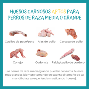 huesos-carnosos-aptos-para-perros-de-raza-media-o-grande