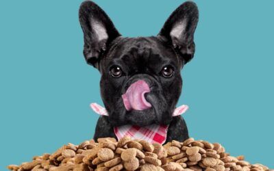 Las 5 MEJORES MARCAS de Comida para Perros en Perú