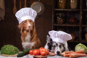 nutrientes-que-necesitan-los-perros