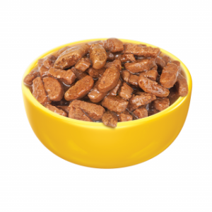 alimento-para-perros-viejos