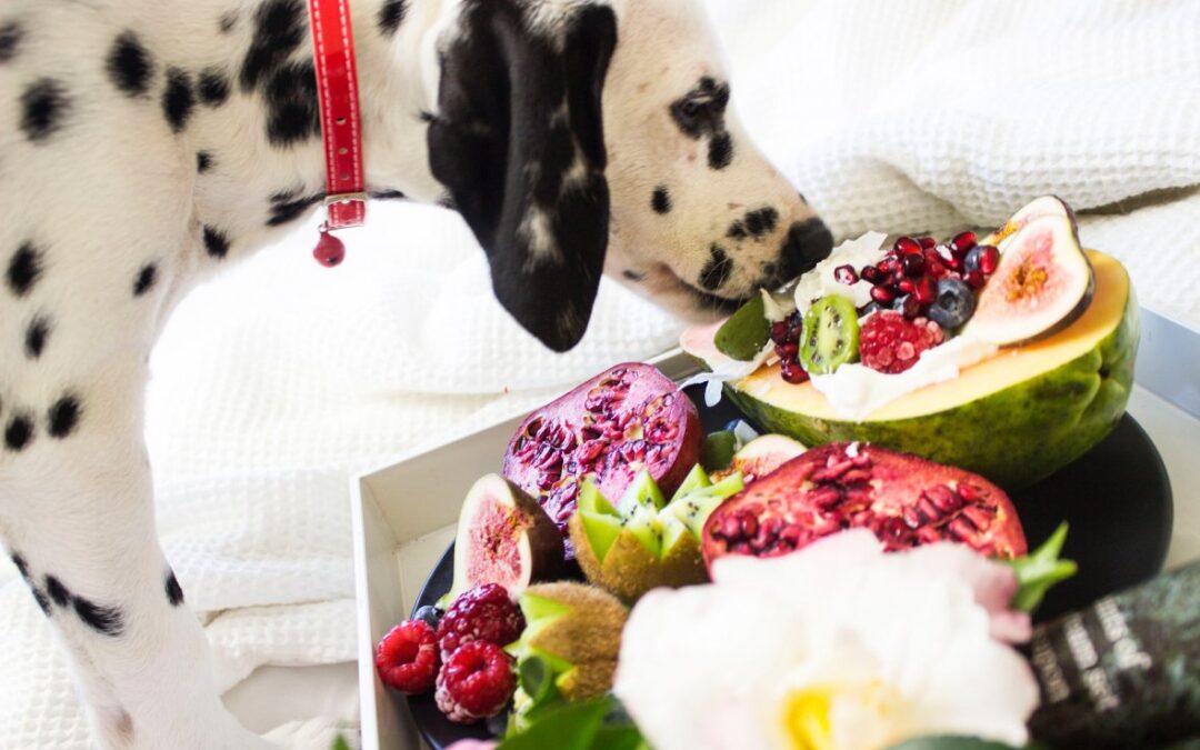 mi-perro-puede-comer-verduras-y-frutas
