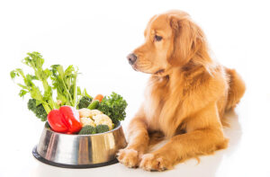 frutas-y-vegetales-para-perros