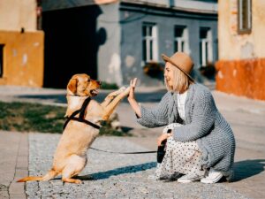 con-una-dieta-variada-y-saludable-tu-perro-no-enfermara