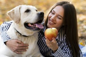dieta-variada-para-perros