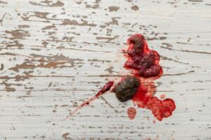 mi-perro-hace-caca-con-sangre