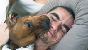mi-perro-lame-mi-rostro-le-encanta