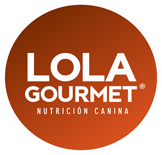 Logo-Lola-321 Lola Gourmet logo footer