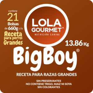 Lola Gourmet Receta Big Boy. Alimento de Grado Humano para perros - 21 Bolsas de 660g (13.86 Kg de comida)