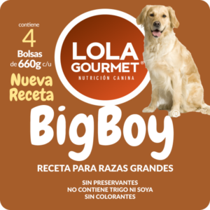 Lola Gourmet Big Boy. Alimento de Grado Humano para perros de raza grande - 4 Bolsas de 660g (2.64 Kg de comida)