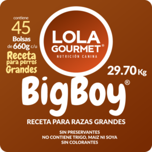 Lola Gourmet Receta Big Boy. Alimento de Grado Humano para perros - 45 Bolsas de 660g (29.70 Kg de comida)