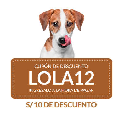 Lola Gourmet | Cupon de Descuento